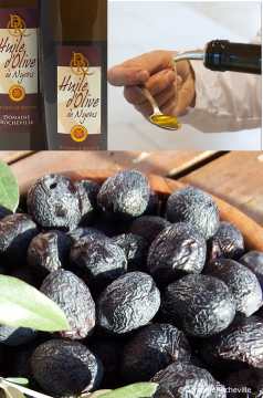 DEGUST'OLIVES